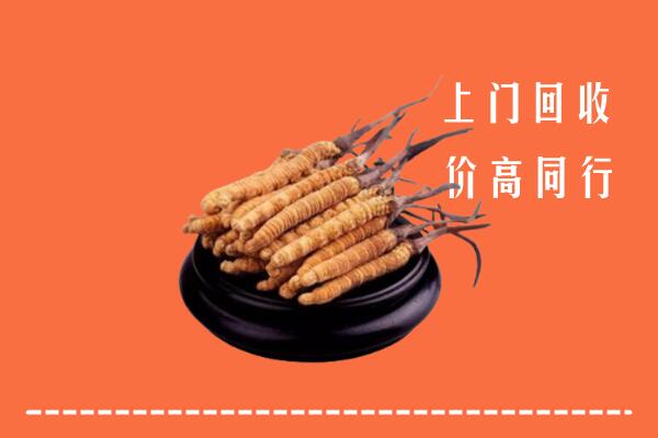 高价求购：深圳市回收散虫草