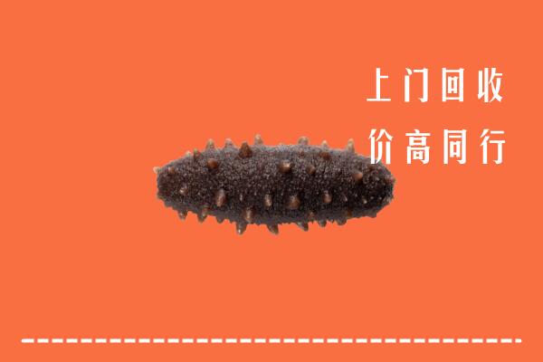 高价求购：深圳市回收海参