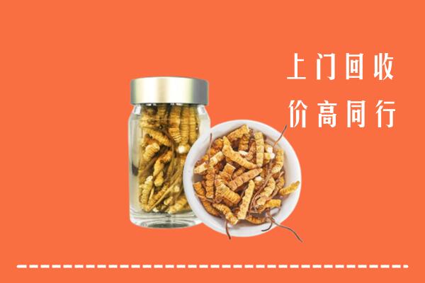 收购行情：深圳市回收冬虫夏草