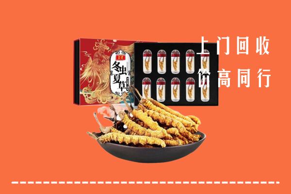 深圳市高价回收虫草
